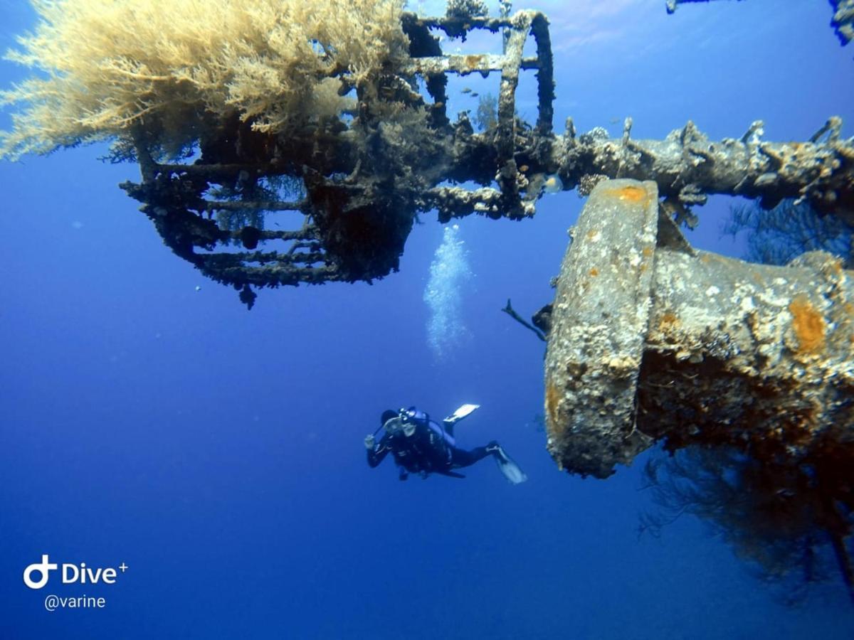 Aqaba Pro Divers 외부 사진