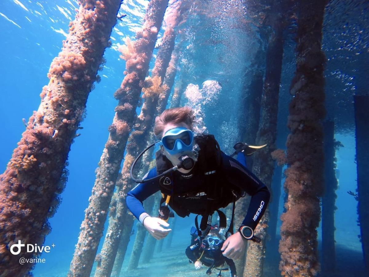 Aqaba Pro Divers 외부 사진
