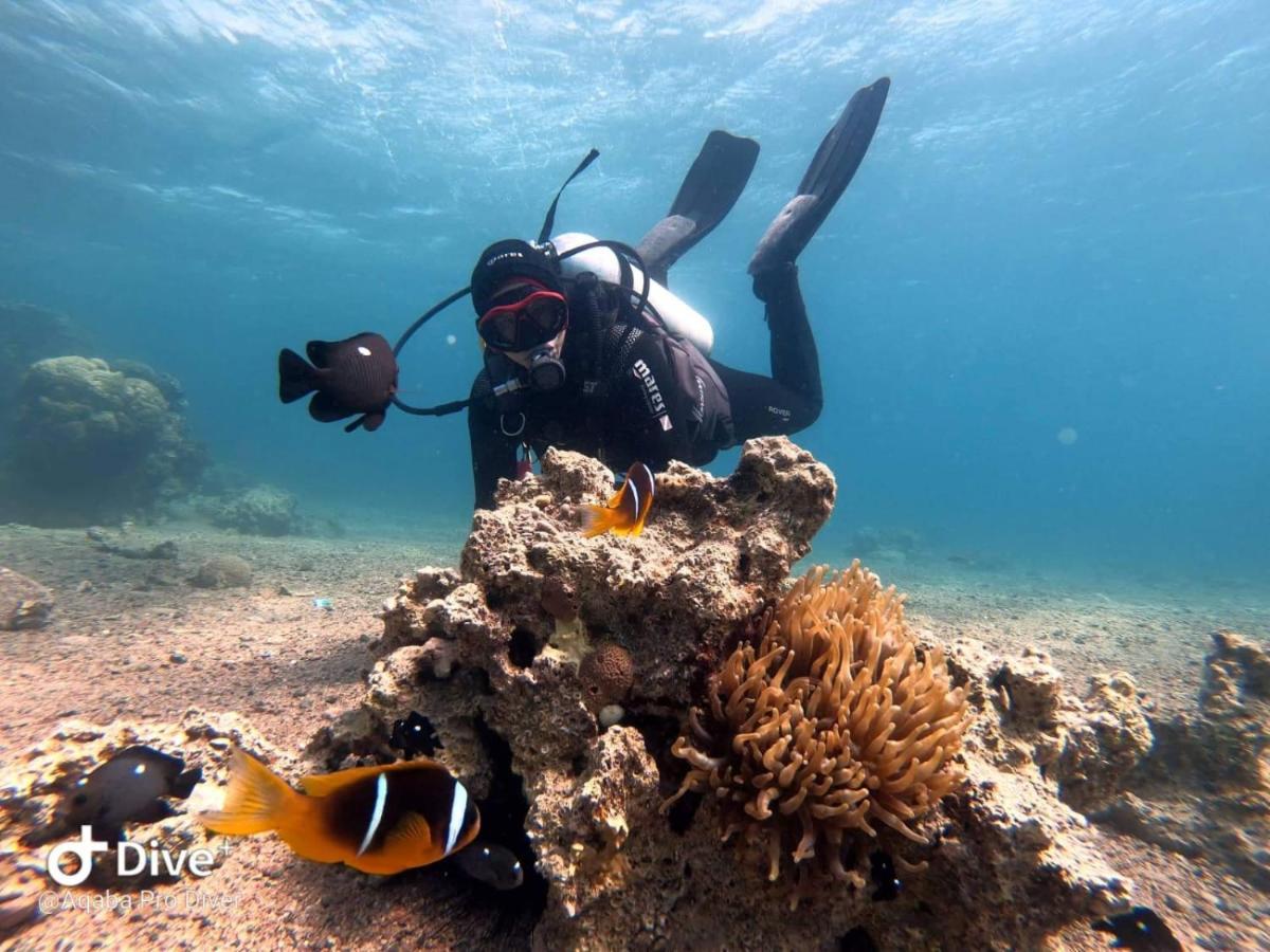 Aqaba Pro Divers 외부 사진