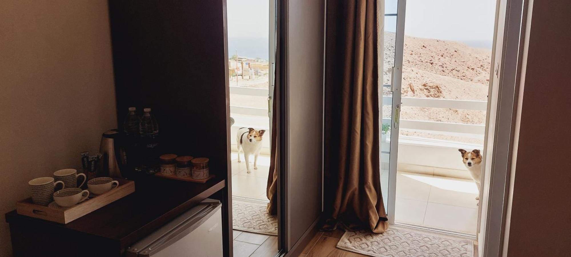 Aqaba Pro Divers 외부 사진