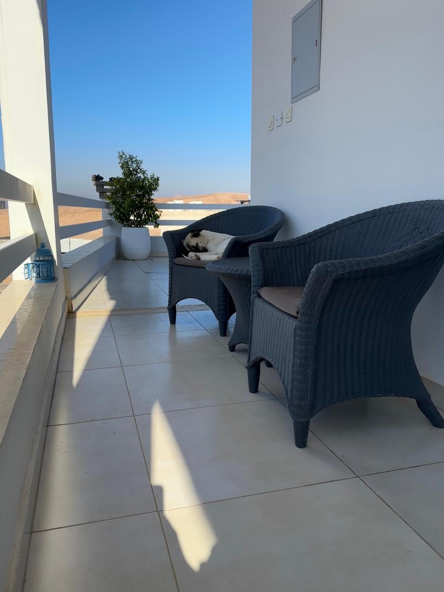 Aqaba Pro Divers 외부 사진
